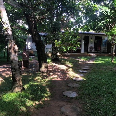 Sylvester Villa Hostel Negombo Zewnętrze zdjęcie