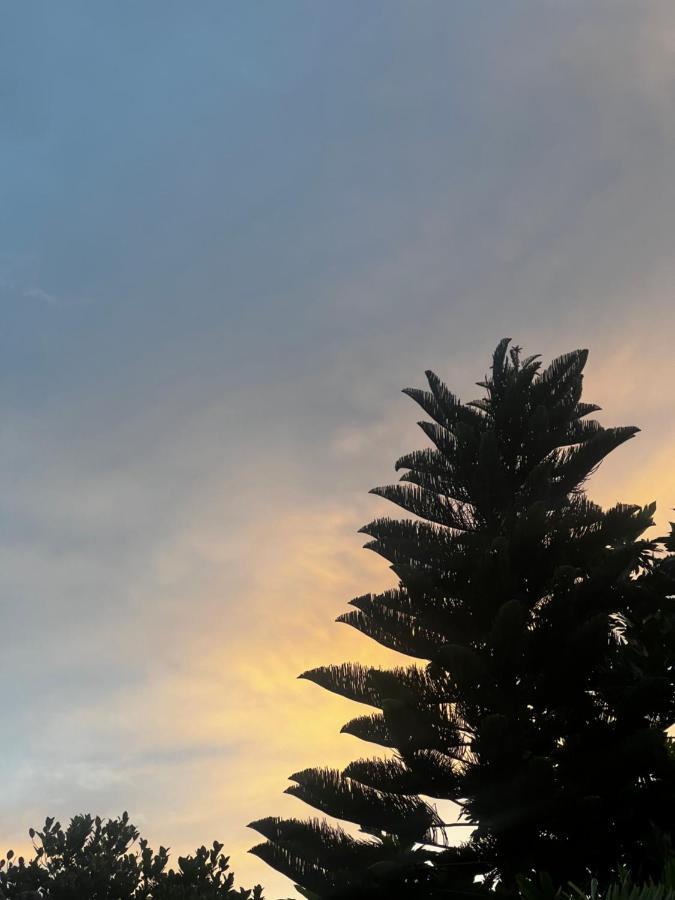 Sylvester Villa Hostel Negombo Zewnętrze zdjęcie