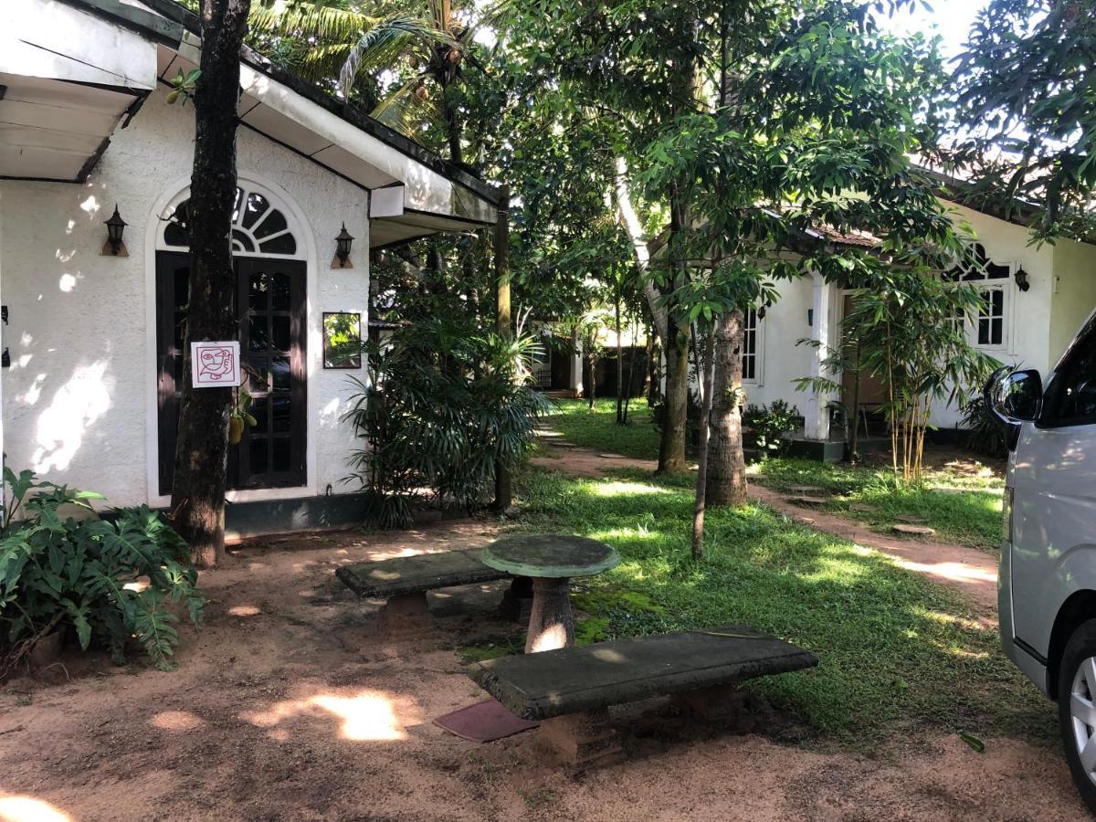 Sylvester Villa Hostel Negombo Zewnętrze zdjęcie