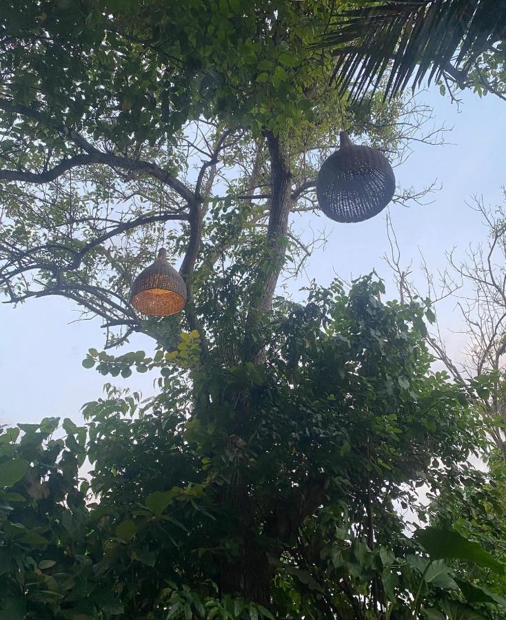 Sylvester Villa Hostel Negombo Zewnętrze zdjęcie