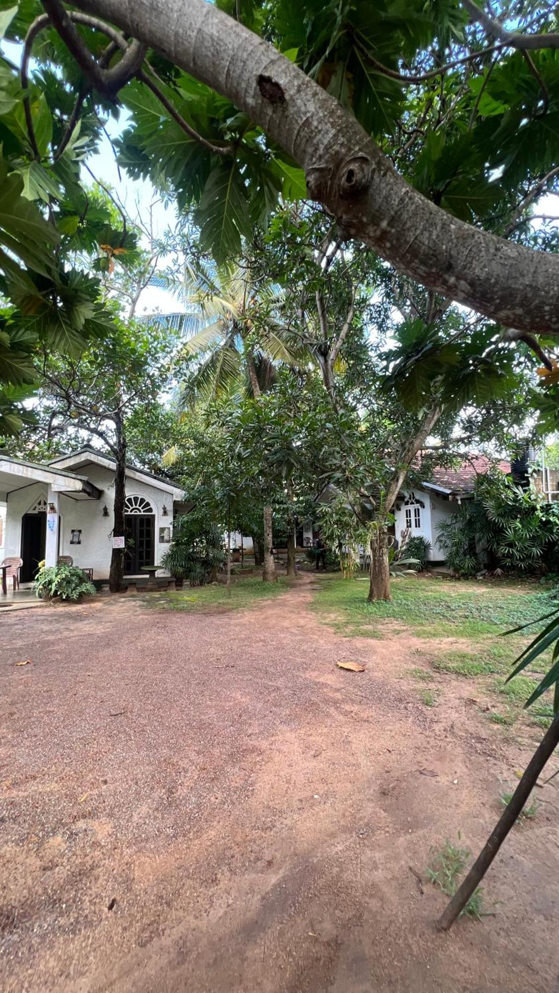 Sylvester Villa Hostel Negombo Zewnętrze zdjęcie