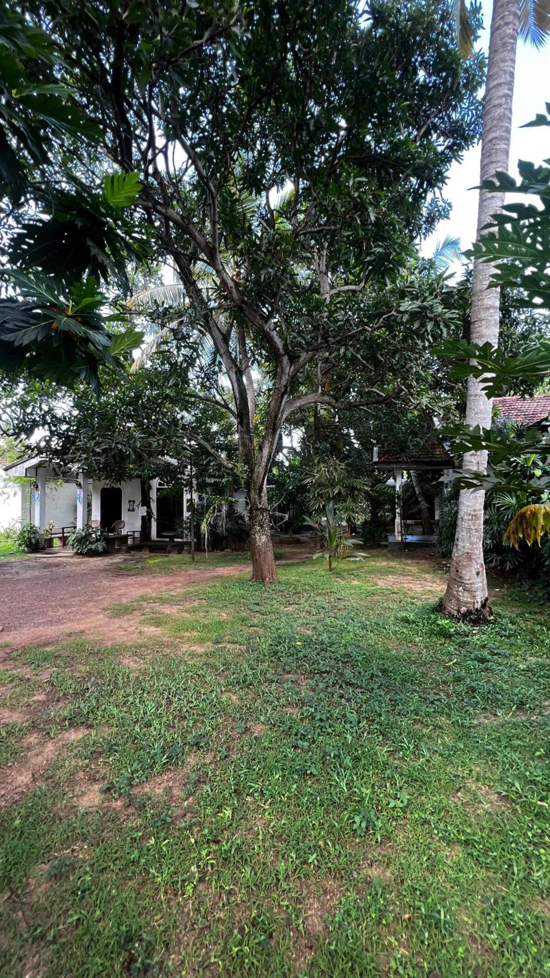 Sylvester Villa Hostel Negombo Zewnętrze zdjęcie