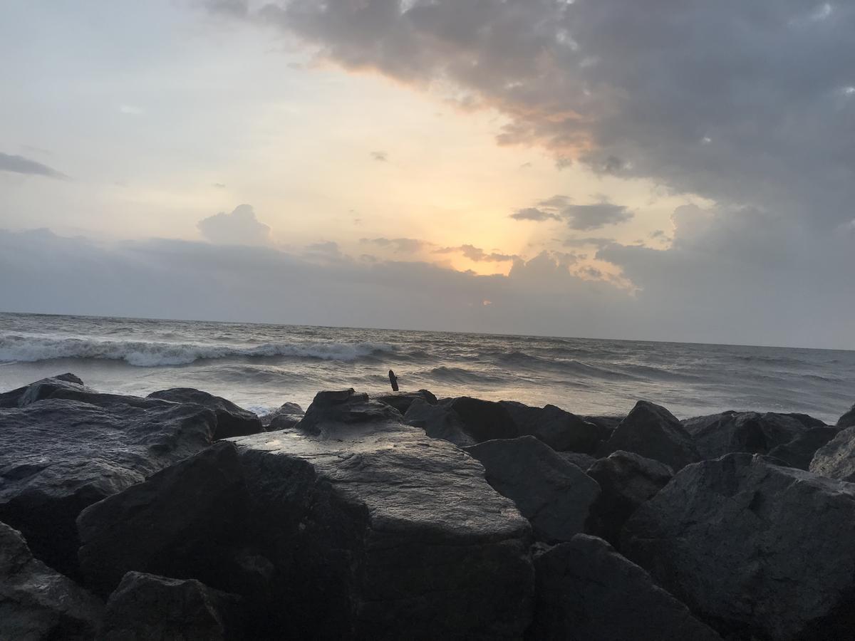 Sylvester Villa Hostel Negombo Zewnętrze zdjęcie